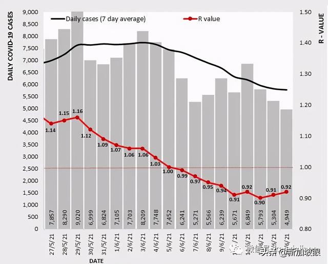 独家发现！新加坡中部首现大型感染群，红山两个感染群存在关联