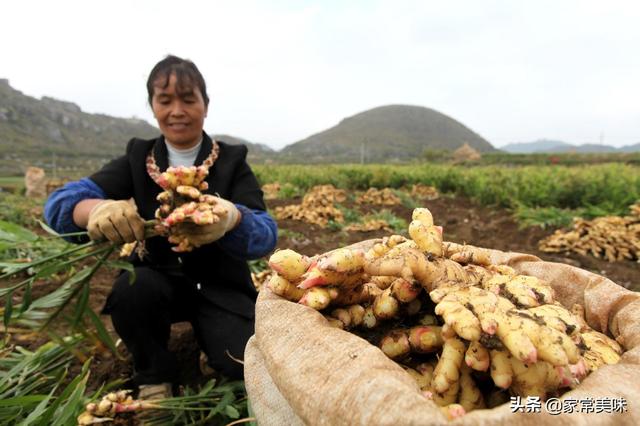 全国哪里的生姜最好吃？经过评比，这6个地方最出名，有你家乡吗