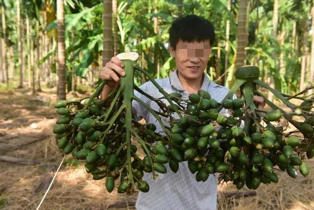 一级致癌物，竟年赚千亿！中国杀不死的“软毒品”，还在顶风作案