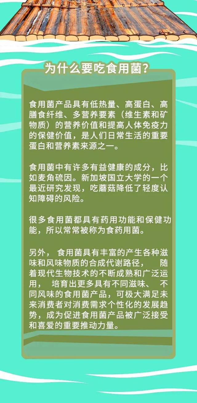 天天吃的食用菌，到底该怎么吃你知道吗