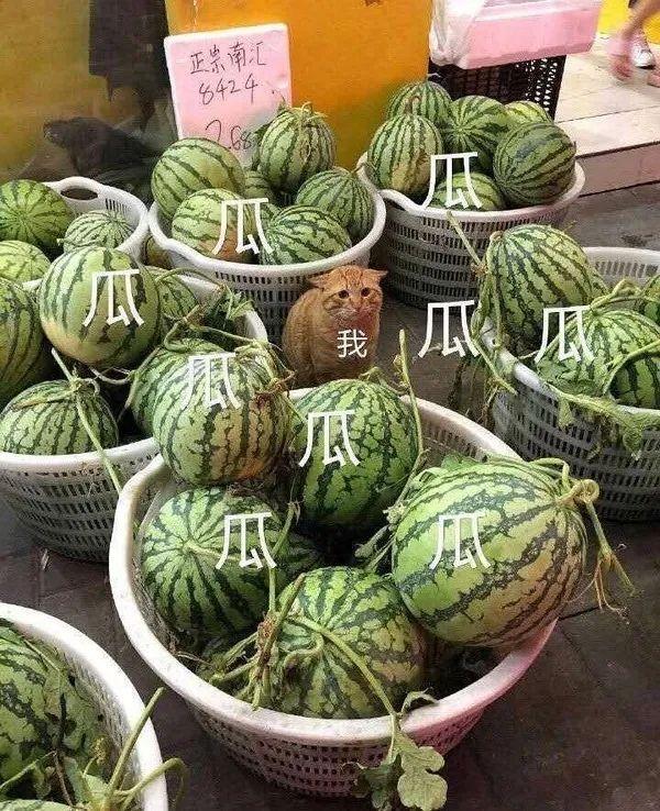真是替他捏了一把冷汗……