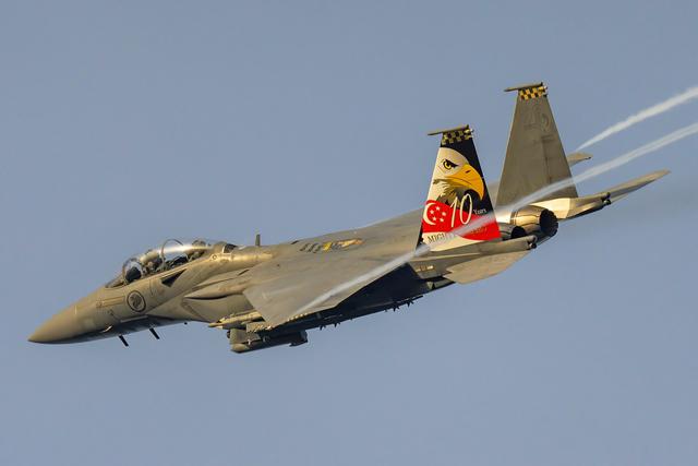 F-15E的进化（四）新加坡空军 F-15SG