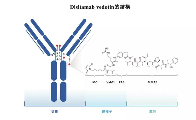 170亿元！国产新药出海价破纪录