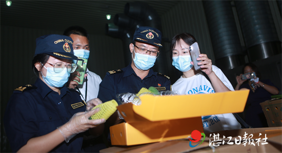 首次！雷州覃斗芒果出口新加坡