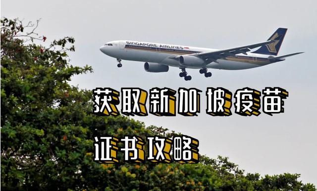获取新加坡疫苗证明攻略