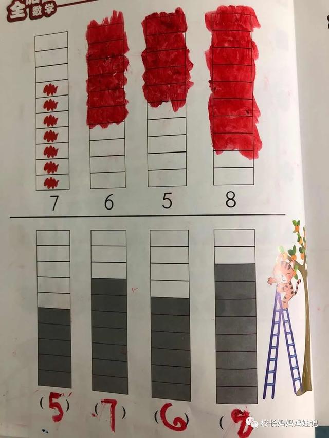 4岁学完了三本斯奎尔，这数感启蒙效果真心不错