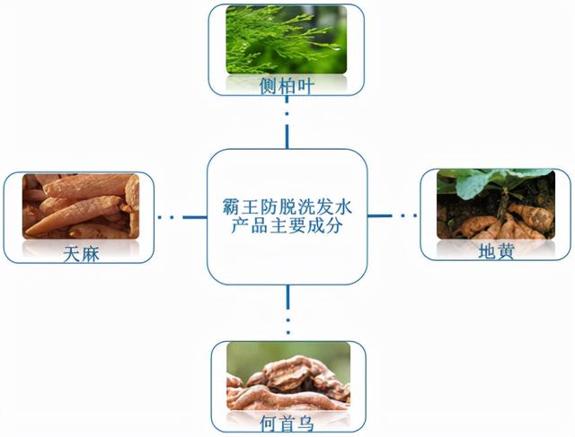 我国防脱洗发水行业现状及前景分析 消费群体广泛驱动市场规模扩大