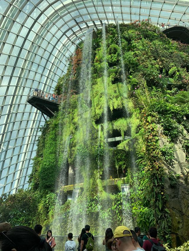 绿野仙踪——新加坡滨海湾花园