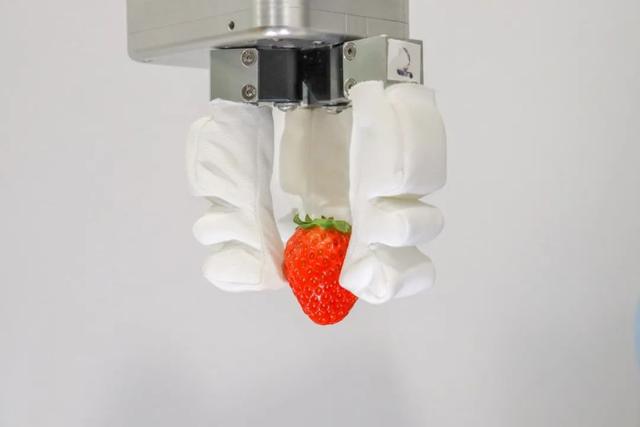 NUS团队研发机器人仿生抓手技术，模拟柔软触感