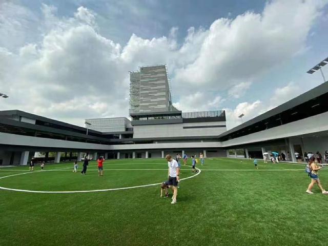 留学新加坡国际学校，课程选 A-level 还是 IB？