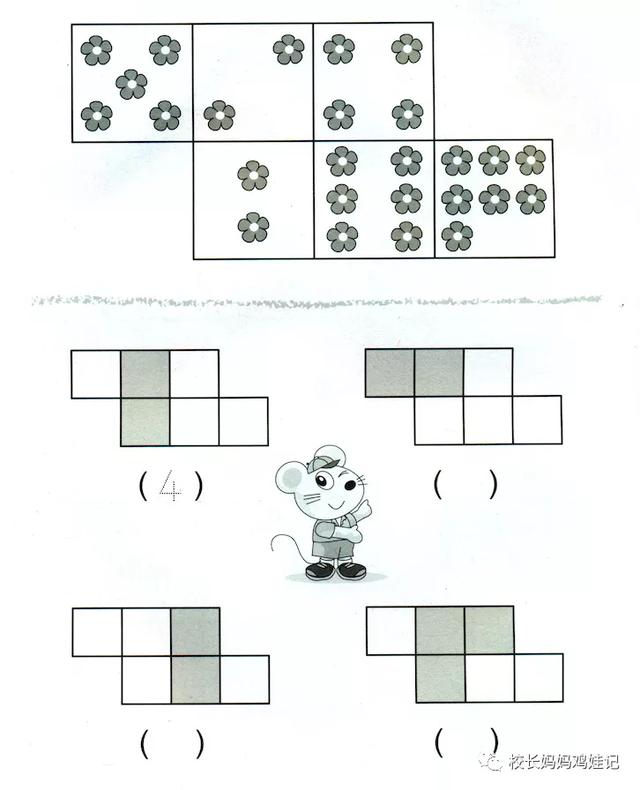 4岁学完了三本斯奎尔，这数感启蒙效果真心不错