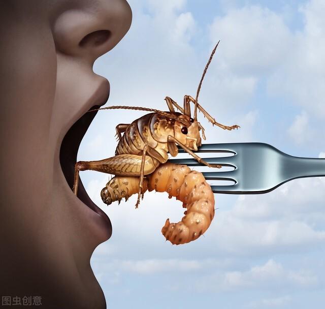 拯救地球，人类的新食物是昆虫