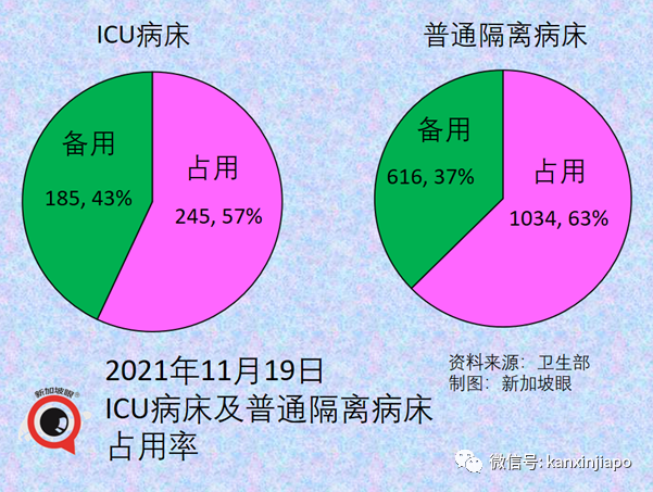 终于！新加坡如期解封！5人堂食和聚会，医院开放探病，居家办公继续进行