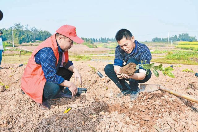 重庆冷知识：他们在荣昌居住了300年，回到家里却只说客家话