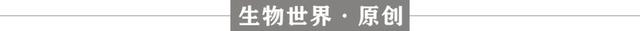 通过血液预测衰老和寿命，证实人类的极限寿命为120-150年