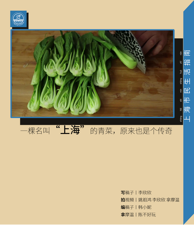 一棵名叫“上海”的青菜，原来也是个传奇