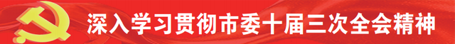 全力推动全会各项目标任务落地落实——全市干部群众认真学习贯彻市委十届三次全会精神（四）