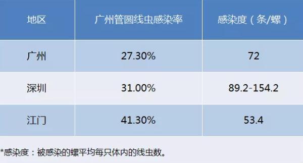 大雨后出现了拳头大的蜗牛？千万别摸！有人碰到后烧到40℃，严重可致死……