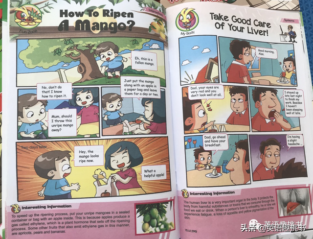 新加坡科学漫画杂志被引进中国了？还是觉得原版好