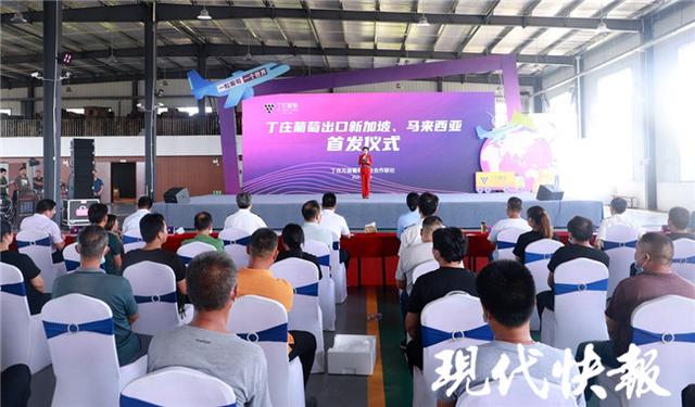 江苏葡萄出口首单！句容丁庄葡萄走出国门“甜”到东南亚