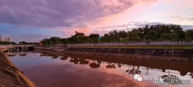 新加坡清晨出现粉紫色的“神仙”天空！大波美图惊艳全岛
