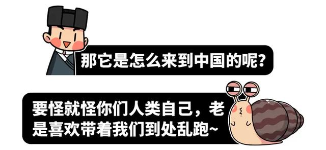 雌雄同体、满身脏物，这种外来生物一度让中国吃货们害怕