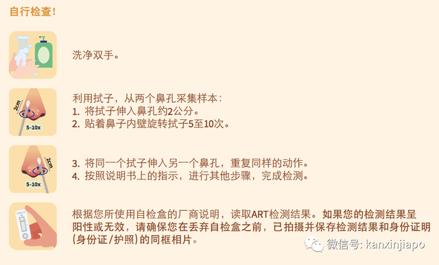 “在新加坡冠病自测结果呈阳性，我该怎么办？”