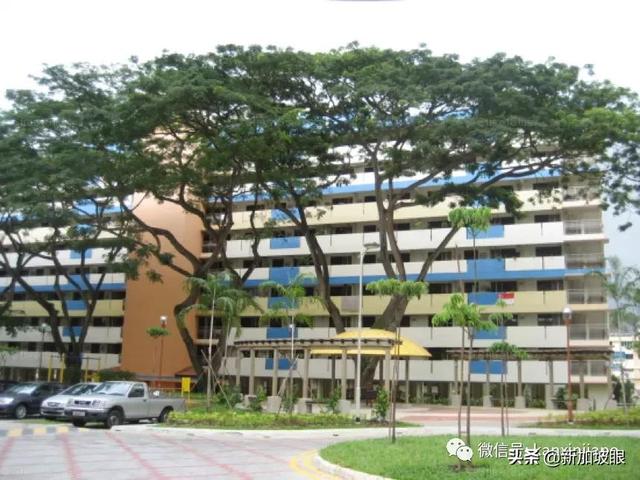 新加坡独居老妇倒毙家中无人知，腐尸发出恶臭才被发现