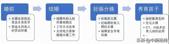 杨畅等：现金补贴、支持相亲……发达经济体鼓励生育有多拼