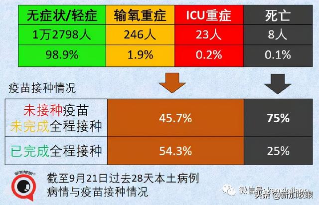 卫生部长坦言低估病毒传播力；李显龙鼓励轻症患者在家休养