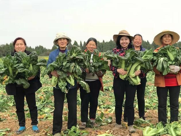 80后四川泡菜女王年销1000万 借数字化把泡菜卖到韩国新加坡