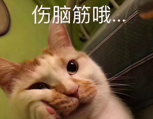 最爱掉毛的3种猫，和不掉毛的3种猫，你养对了吗？