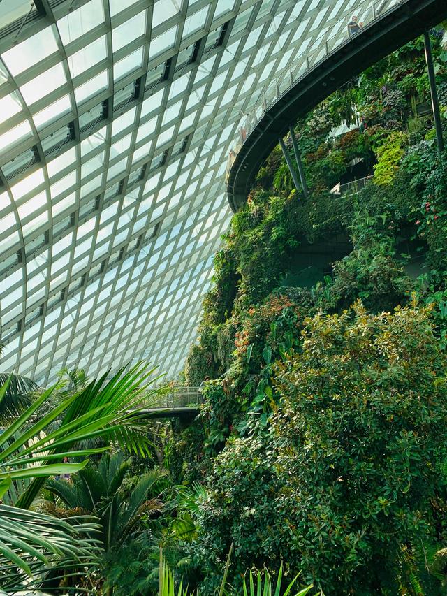 绿野仙踪——新加坡滨海湾花园