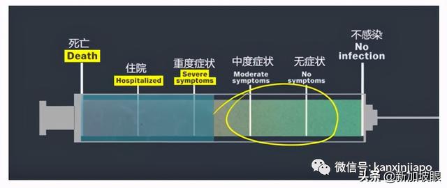 已完成两剂接种，23岁客工在新加坡无症状确诊