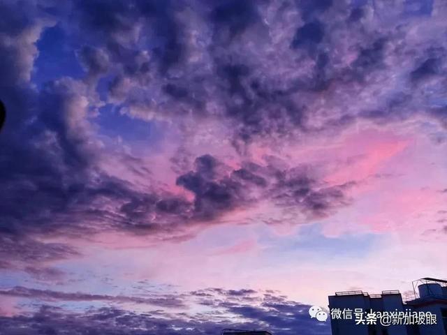 新加坡清晨出现粉紫色的“神仙”天空！大波美图惊艳全岛