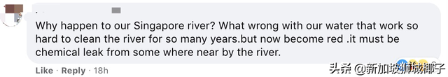 新加坡富豪区这条河变成粉色，惊现大批死鱼！39年罕见暴雨太作