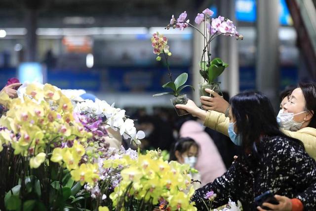 「新春走基层」年货热销年味浓