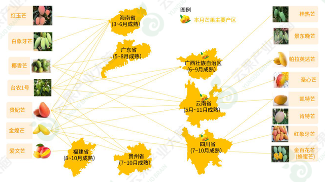 中国芒果市场动态监测（2022年6月）