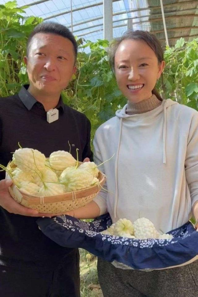 山东夫妻，放弃5万月薪去种菜，年入500万，员工月入过万