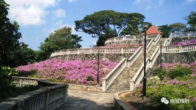 新加坡123个又美又好玩的宝藏景区！花式遛娃攻略，一次打包给你