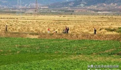 朝鲜现状：有自己的系统和浏览器，居民不用交税，有自己的日历