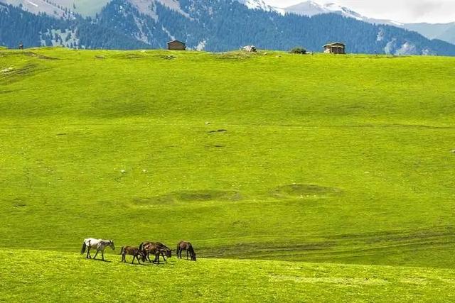 噢耶！国内12个异域风情的旅行地，不出国也能打卡全世界