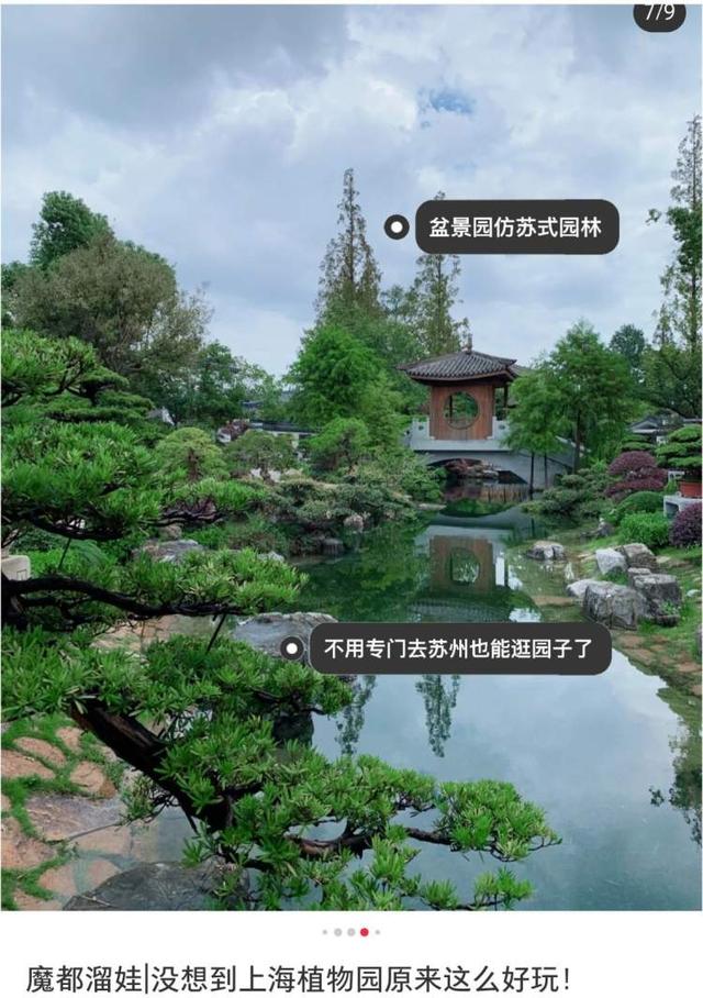 重开后与草木相逢，上海植物园专家：为什么说植物园和城市公园不一样？