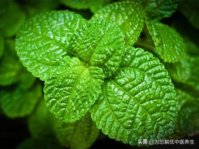左氏针灸：三调一治之解筋结