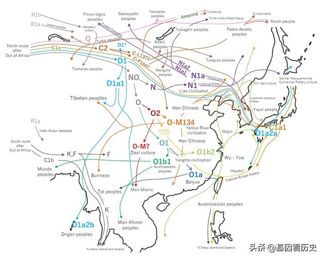 一口气看完东南亚历史