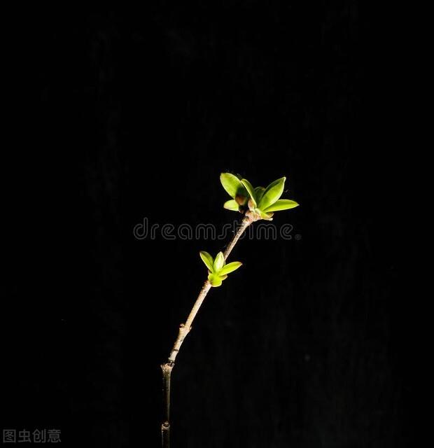 《拼记单词王》话说比较记忆法（下下）——词音比较法