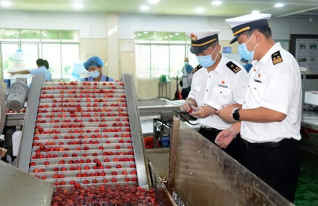 广州海关今年以来监管出口荔枝超750吨