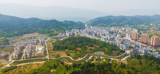 接龙镇：蜜柚飘香产业兴，致富路上“甜蜜蜜”