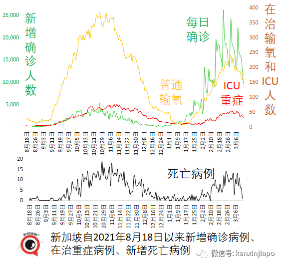 新加坡增9042+8，政府再宣放宽新政策；张文宏：这些准备都没做，能躺平吗？