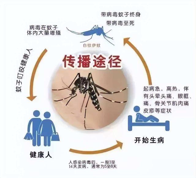 一波未平一波又来侵袭，该国登革热病人大幅上升